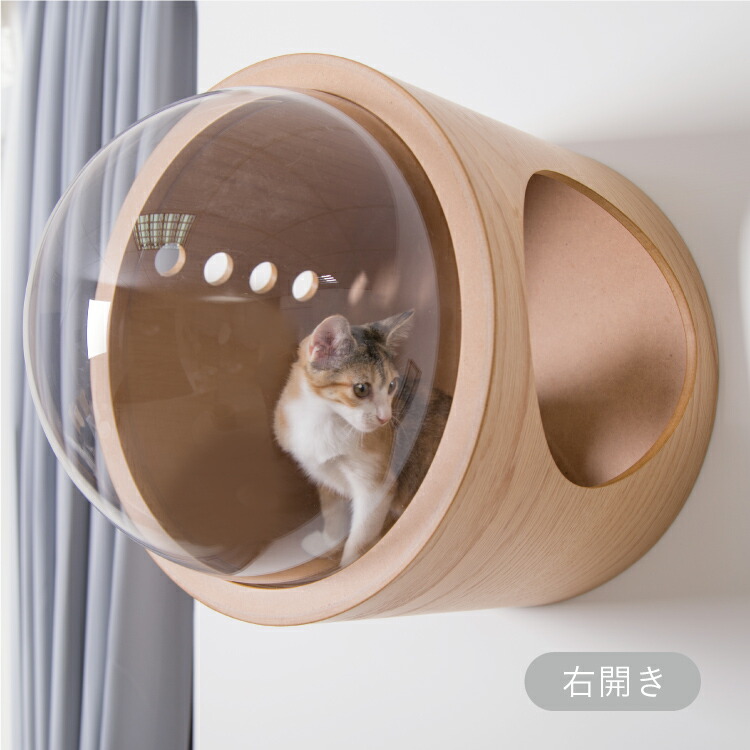 Sale Myzoo マイズー 宇宙船gamma オーク 壁付けタイプ猫用ベッド 右開き セット 猫 キャット ウォーク ステップ タワー おしゃれ 棚 アクリル 壁付け スタイリッシュ Exclusivetoyrentals Com