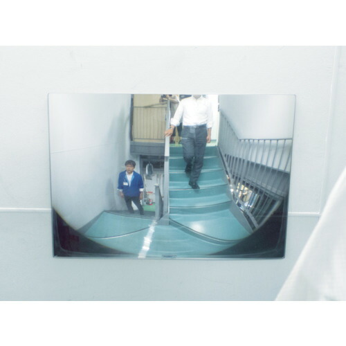 TR コミー FF銀鏡通った跡＜決定付ける用＞ 650×485