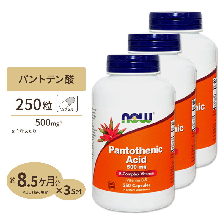 3個セット パントテン酸 500mg Foods NOW 250粒 ナウフーズ
