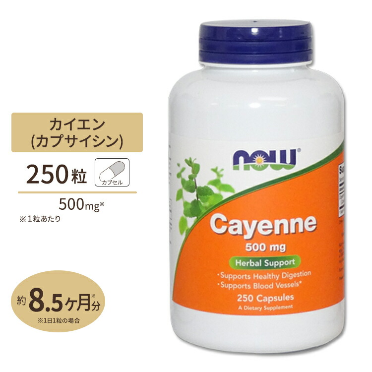 店舗 L-カルニチン 500mg 60粒 NOW Foods ナウフーズ