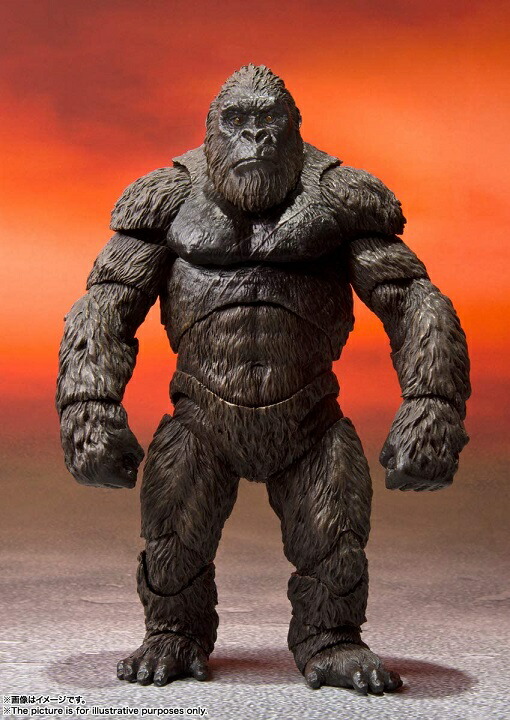 楽天市場 新品 1週間以内発送 S H モンスターアーツ Kong From Movie Godzilla Vs Kong 21 仮 約145mm フィギュア ゴジラ コング ゴリラ Spw楽天市場店