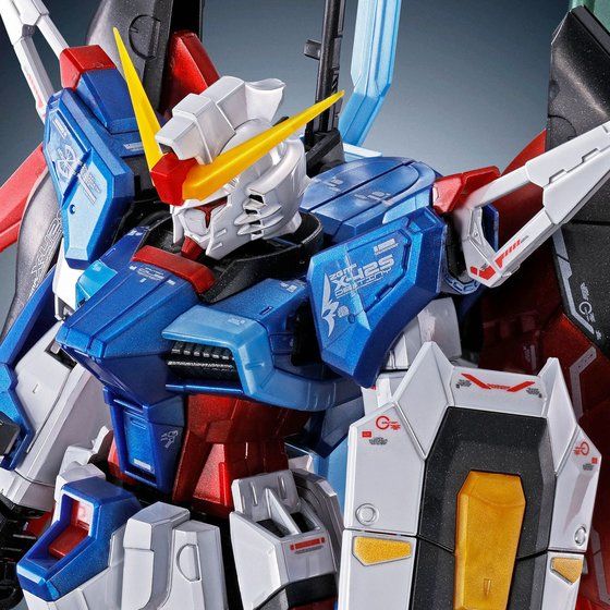 【新品】【即納】　RG 1/144 デスティニーガンダム チタニウムフィニッシュ　機動戦士ガンダムSEED DESTINY 組み立て式プラモデル シード デスティニー ガンプラ アニメ 映画 ロボット