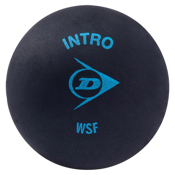 【4月10日まで 最大4％OFFクーポン＆P最大10倍】 ダンロップ DUNLOP INTRO DA50032