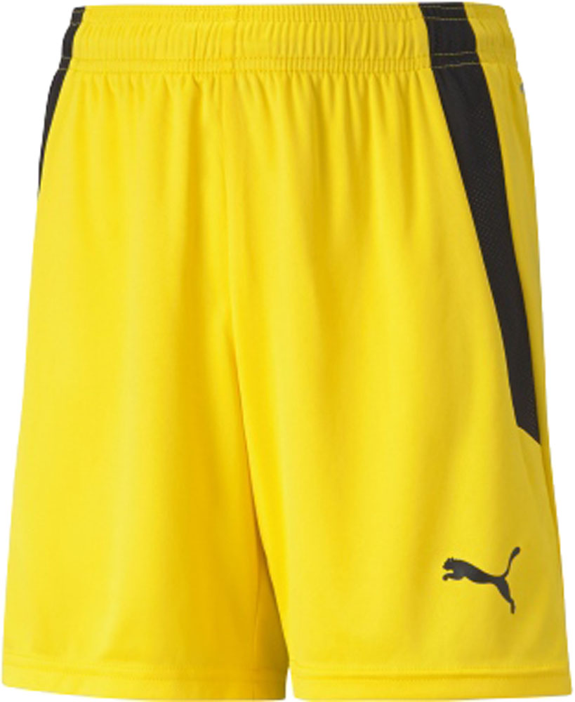 【7月1日 P最大10倍】 プーマ PUMA サッカー TEAMLIGA ゲームパンツ ガールズ ボーイズ ジュニア 吸水 速乾 レギュラーフィット ショーツ 半ズボン ショートパンツ ハーフパンツ 短パン 705145 07画像