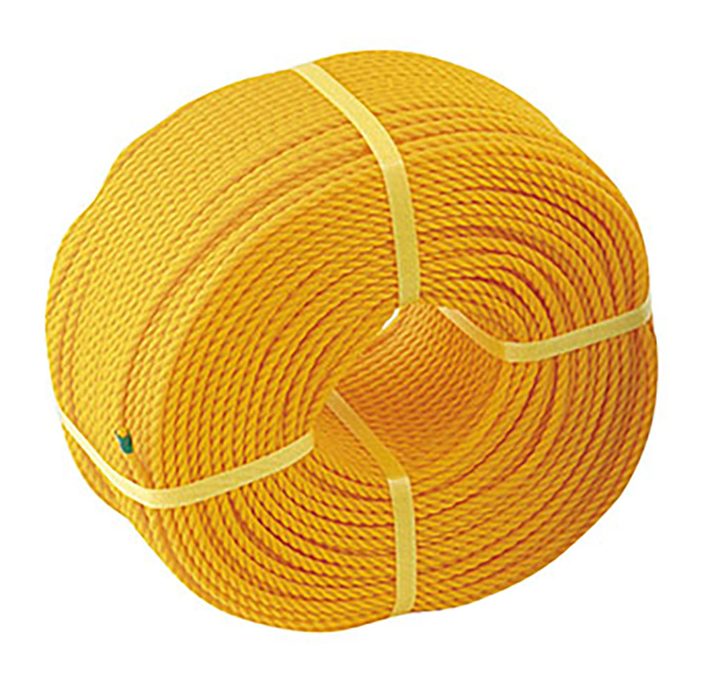 【4月18日まで 最大4％OFFクーポン＆P最大10倍】 三和体育 グラウンドロープ6mm×200m ロープのみ 黄 学校 体育 部活 授業 備品 器具 運動会 体育祭 レクリエーション マーキング 整備 グラウンド 校庭 S2878