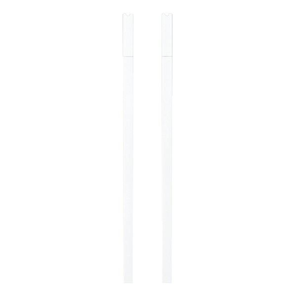 【4月10日まで 最大4％OFFクーポン＆P最大10倍】 エバニュー Evernew 【メーカー直送品】 テニスネットシングルスポール 学校体育 体育 部活 授業 クラブ チーム 2本1組 EKE903