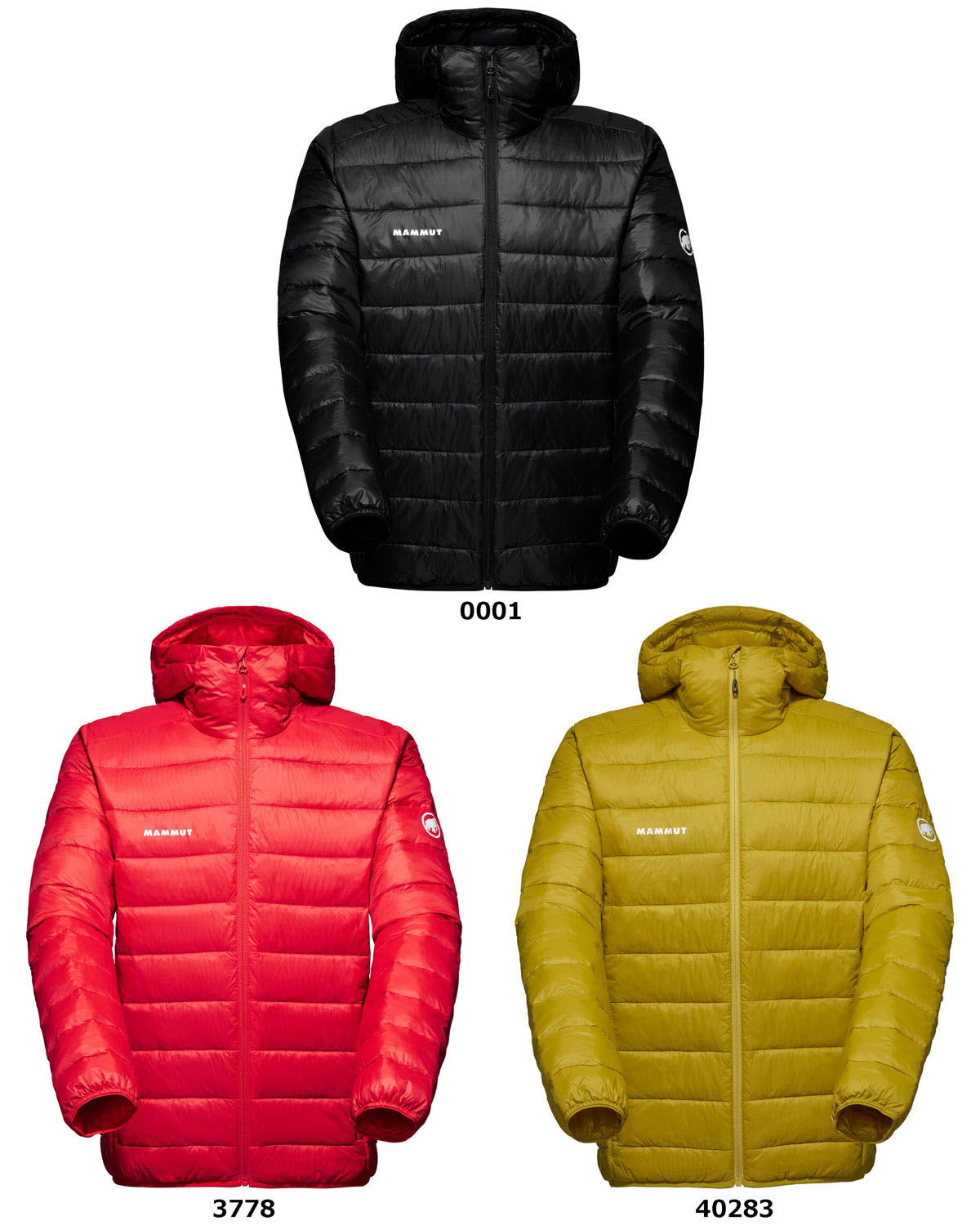 楽天市場】マムート メンズ クラッグ インサレーション