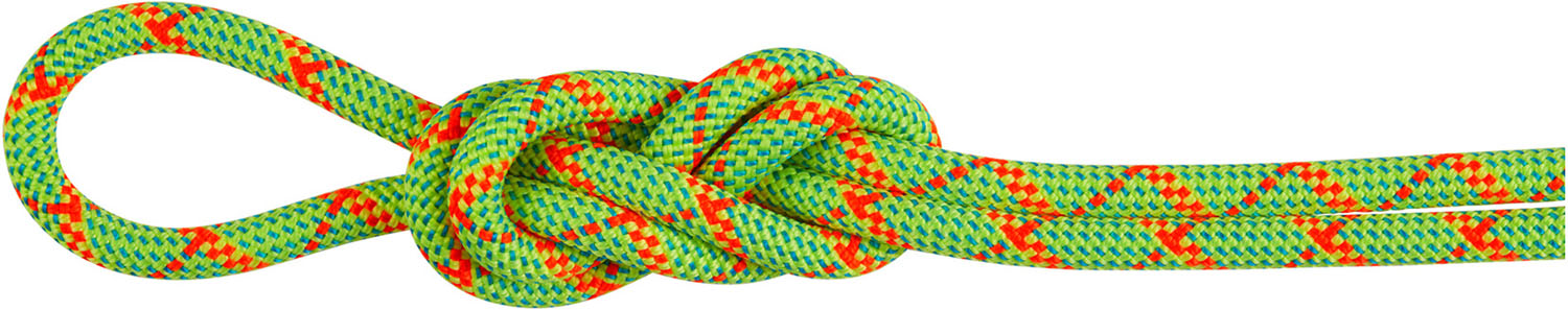 【4月10日まで 最大4％OFFクーポン＆P最大10倍】 マムート MAMMUT アウトドア 8.0ALPINECOREPROTECTDRYROPE70M ロープ ハイキング トレッキング クライミング 登山 マウンテニアリング 2010-05090 201005090