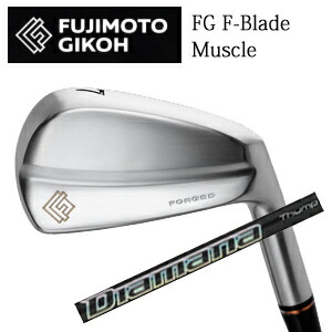 \u003cBR\u003e藤本技術者\u003cBR\u003eFG  F-Blade Muscleアイアン\u003cBR\u003eDiamana Thump Iron ディアマナサンプアイアン 三菱ケミカル社製\u003cBR\u003e日本遣りくち定め事品\u003cBR\u003e特注カスタム