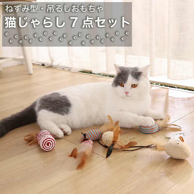 楽天市場】DIY 組み立て自動猫じゃらし おもちゃ 自動 猫じゃらし 動くおもちゃ 充電 運動不足解消 ストレス解消 知育玩具 LED点灯 室内  安心素材 自動回転 猫 子猫 ねこ キャット用 猫用品 ペット用品 ペットグッズ : スピンネーカー東京