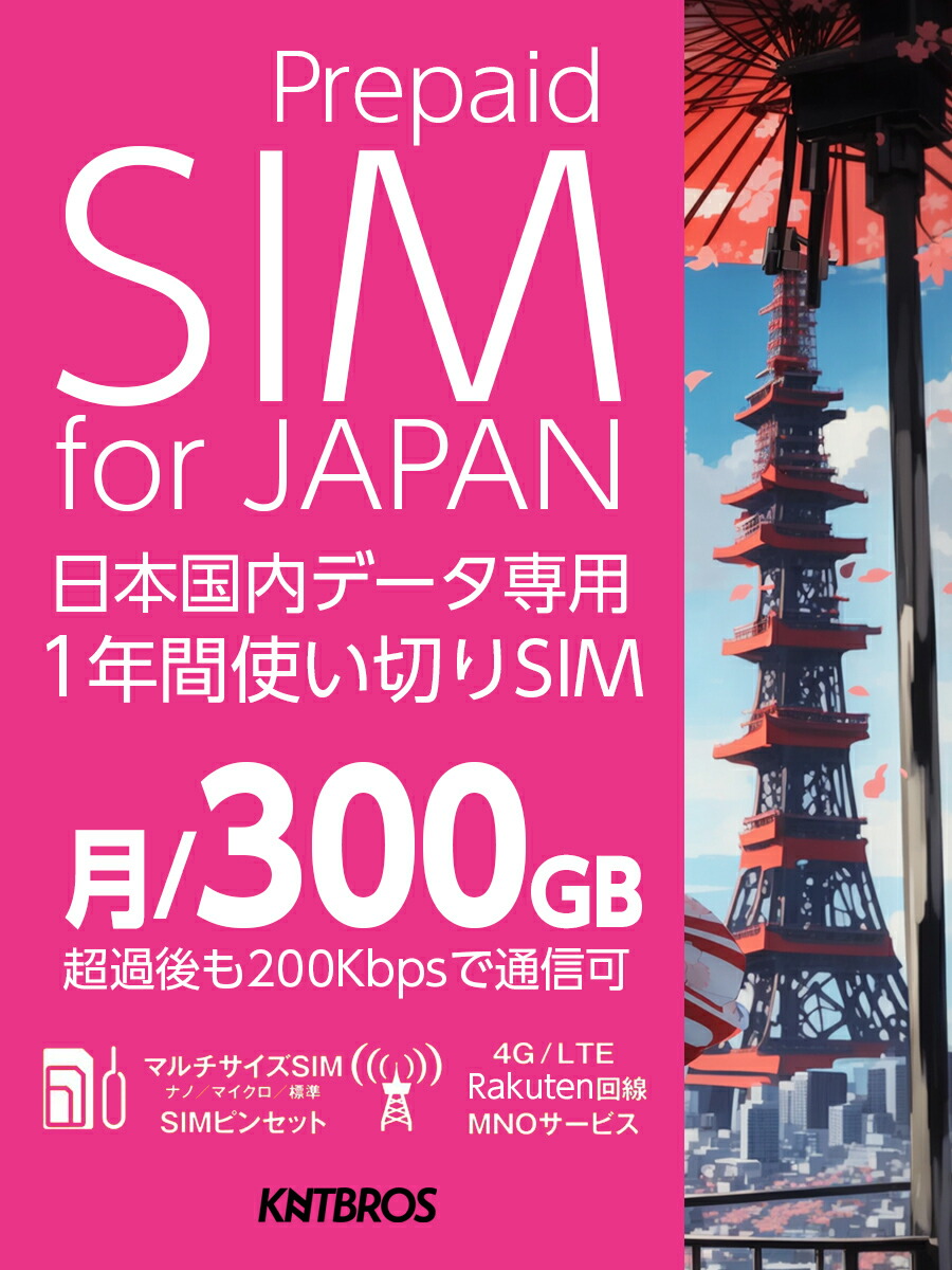 プリペイド sim 雑誌 人気