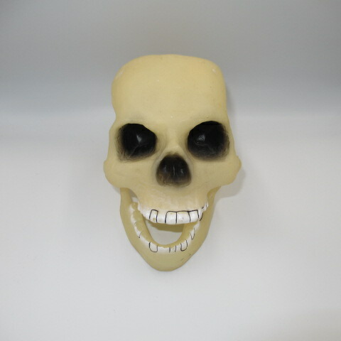 scull★スカル★蓄光★骨★骸骨★Halloween★ハロウィン★置物★display★ディスプレイ★フィギュア★ぬいぐるみ★人形★
