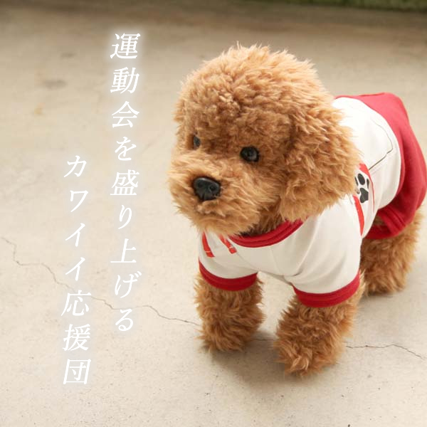 買取 犬 服 コスプレ 犬の服 国産 体操服 小型犬 中型犬 春 春服 夏 夏用 夏服 春夏秋 秋服 冬 冬用 冬服 秋冬 おしゃれ おもしろ かわいい 可愛い 着せやすい セール ブランド 女の子 男の子 オス メス ハロウィン