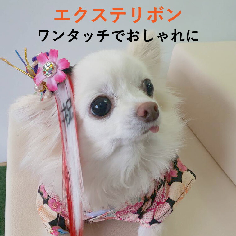 犬 エクステ チョンボ 春 おしゃれ かわいい 冬 小型犬 国産 大型犬 夏 おもしろ 秋 中型犬