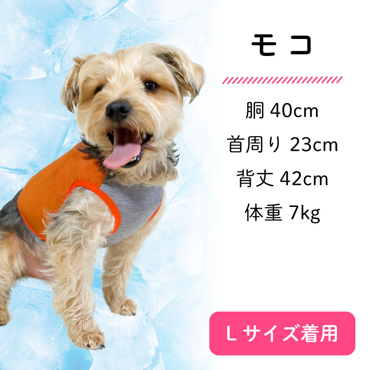 市場 犬 HOLD クールベスト 春夏 小型犬 中型犬 おもしろ おしゃれ 春 夏 犬服 クーリングベスト 涼しい 保冷剤付 撥水 ICE 犬の服  夏服 夏用