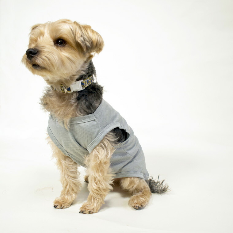 犬 服 Spiral Style おしゃれ おもしろ かわいい オス クール クールウェア セール タンク タンクトップ ドッグウェア ドライ ブランド プチプラ メス メッシュ 中型犬 可愛い 吸汗速乾 夏 夏服 夏用 女の子 小型犬 春 春夏 春服 無地 犬の服 男の子