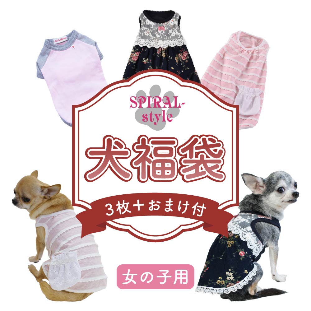 ペットパラダイス　福袋　SSサイズ　クーポン付き 楽天市場】12/3火曜 12時より予約開始 | 福袋 犬 2025 年 個数