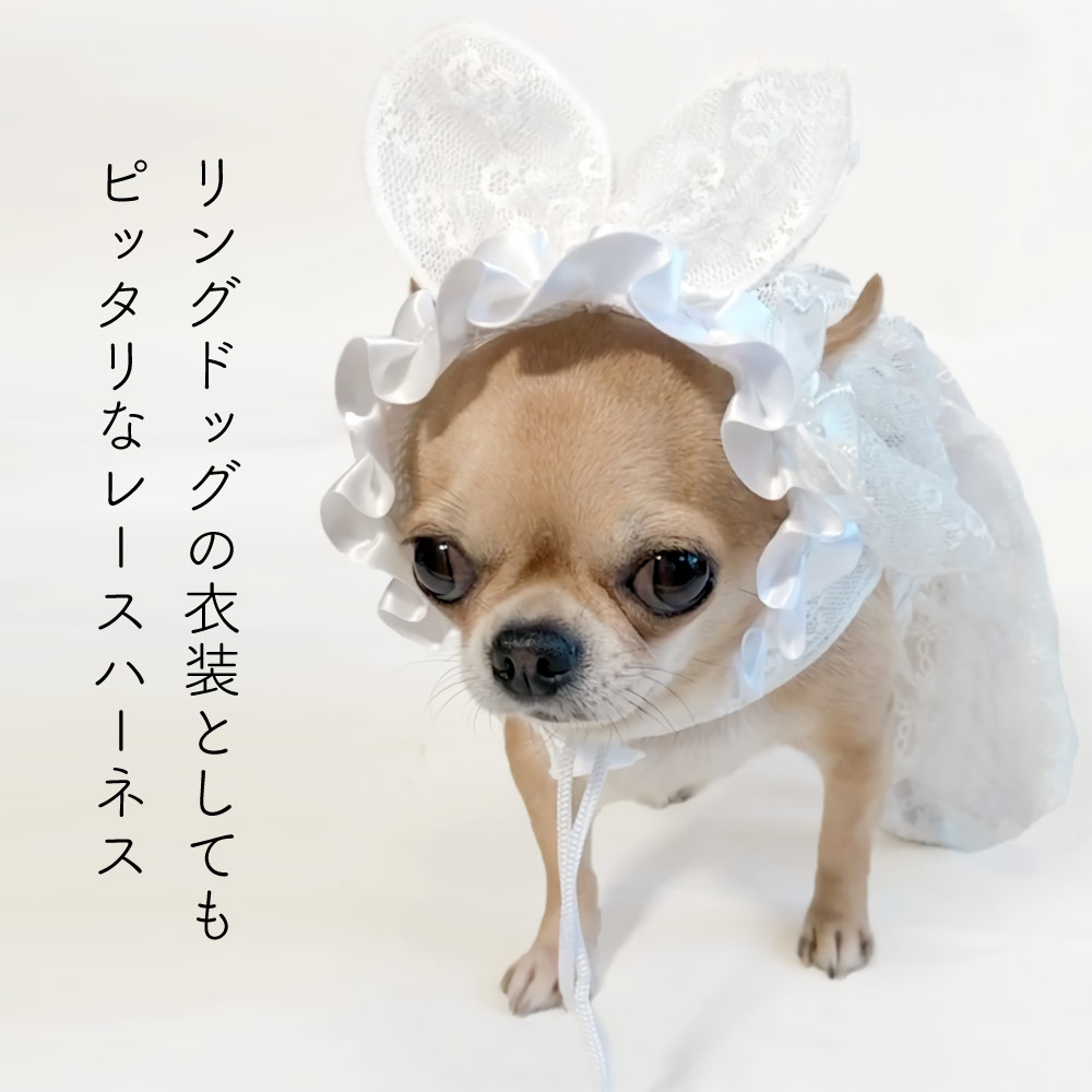 犬 ハーネス 犬服 リード ドレスハーネス おもしろ かわいい 小型犬 いぬ 犬の服 セット 服 中型犬 犬 ハーネス 犬服 リード ドレスハーネス おもしろ かわいい 小型犬 いぬ 犬の服 セット 服 中型犬