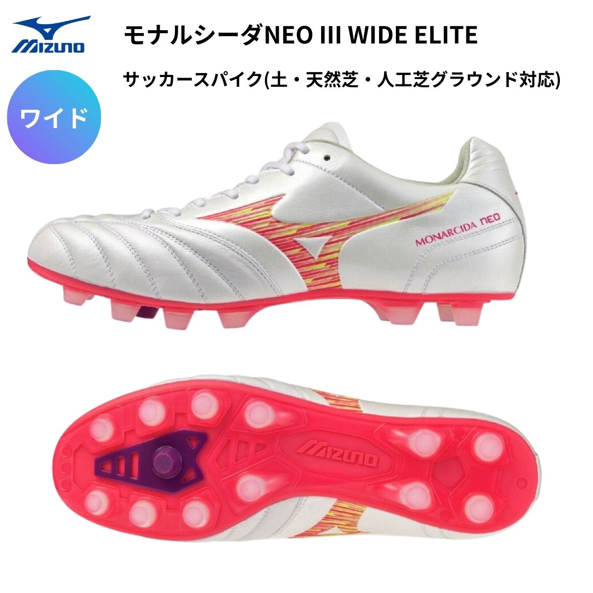 水泳ぎ品目特集