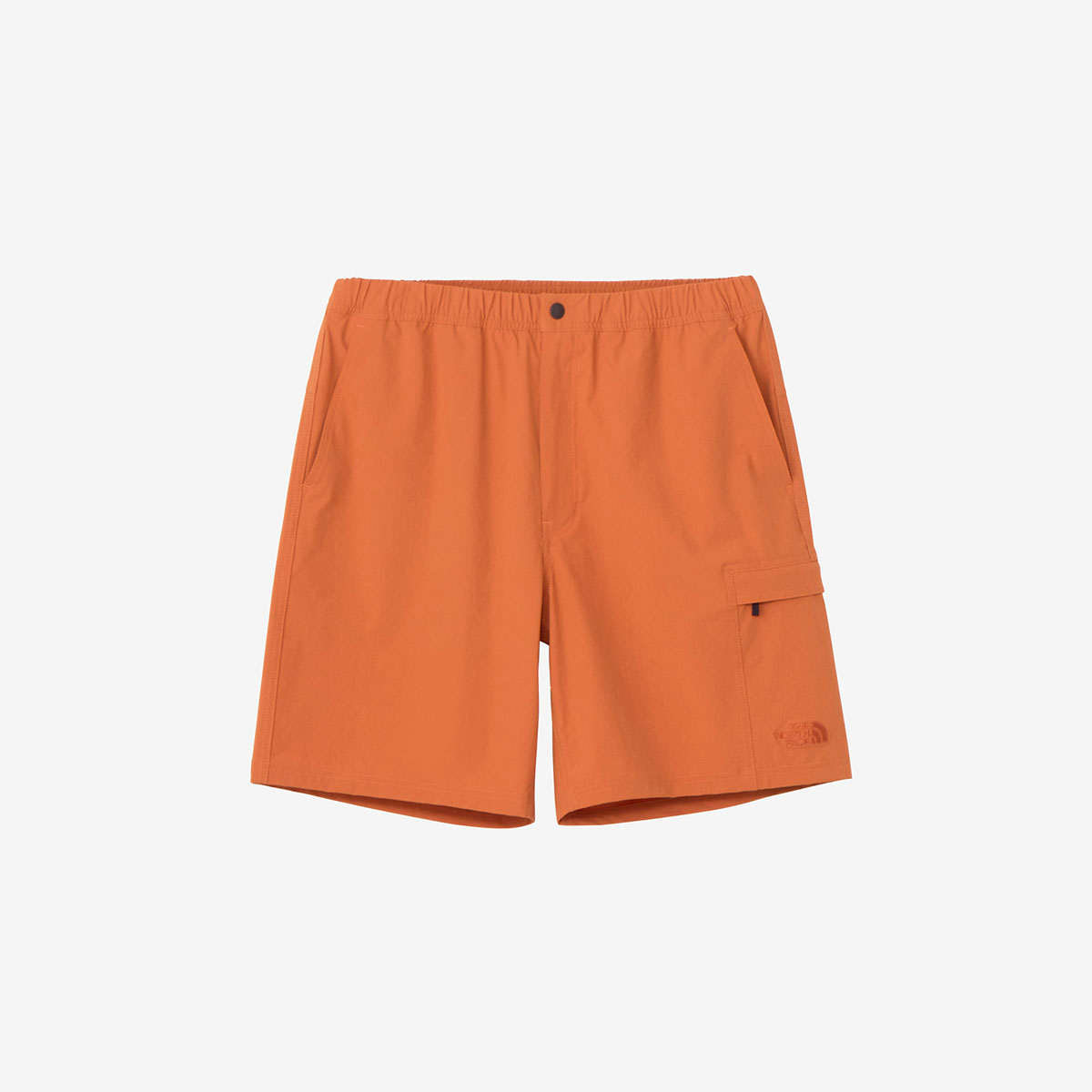 【メール便OK】THE NORTH FACE(ザ・ノース・フェイス) マウンテンカラーショーツ メンズ ハーフパンツ ショートパンツ アウトドア はっ水 NB42501