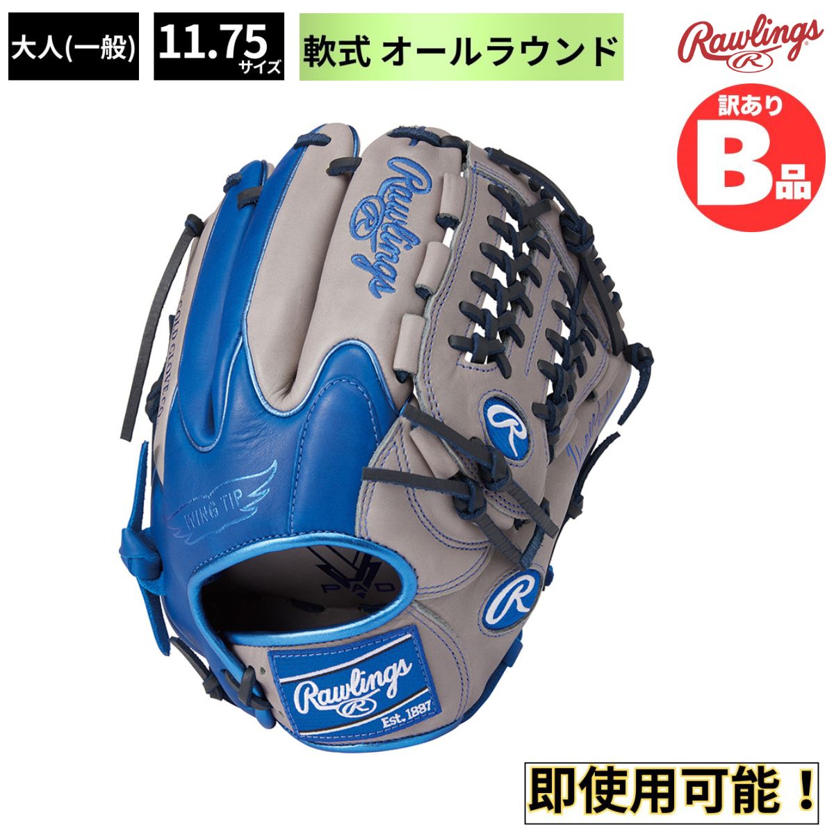 水泳ぎ品目特集