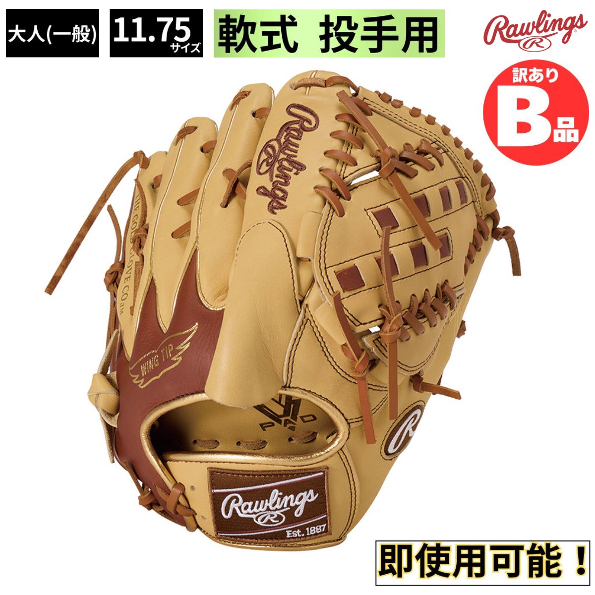 水泳ぎ品目特集