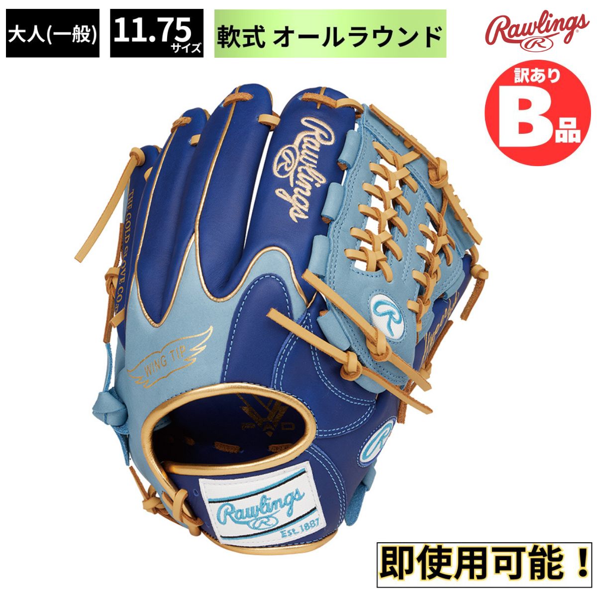 水泳ぎ品目特集