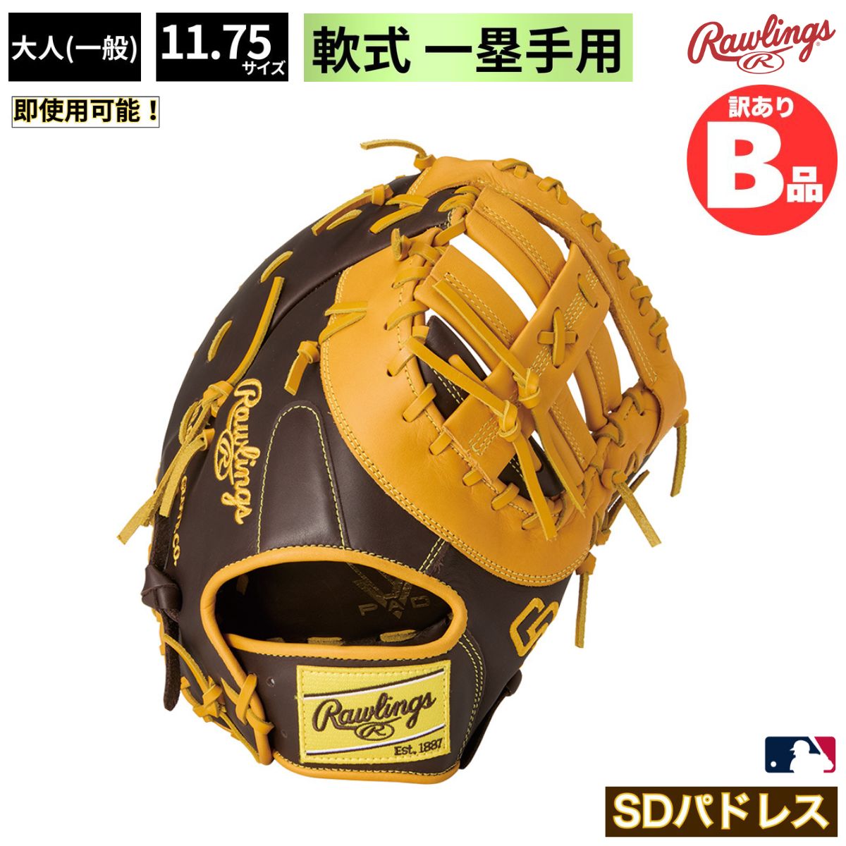 水泳ぎ品目特集