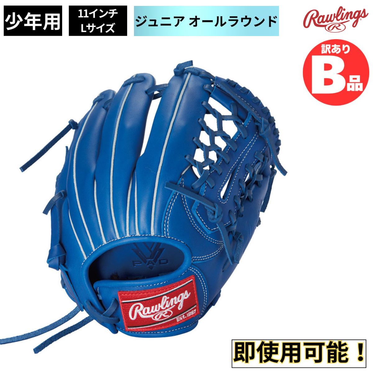 水泳ぎ品目特集