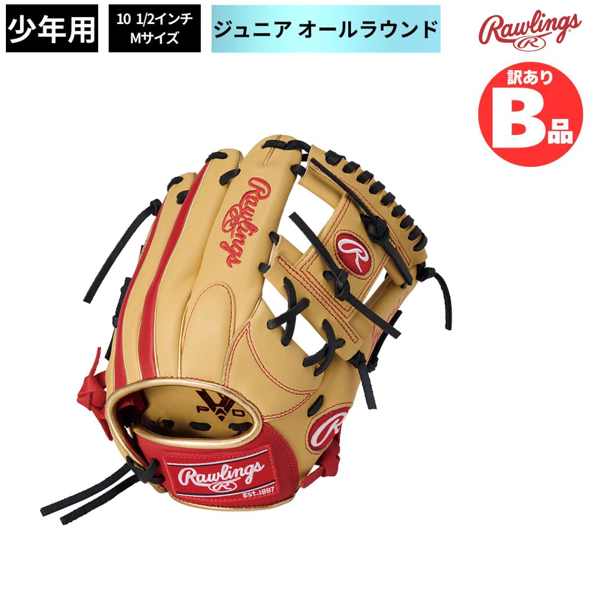 水泳ぎ品目特集