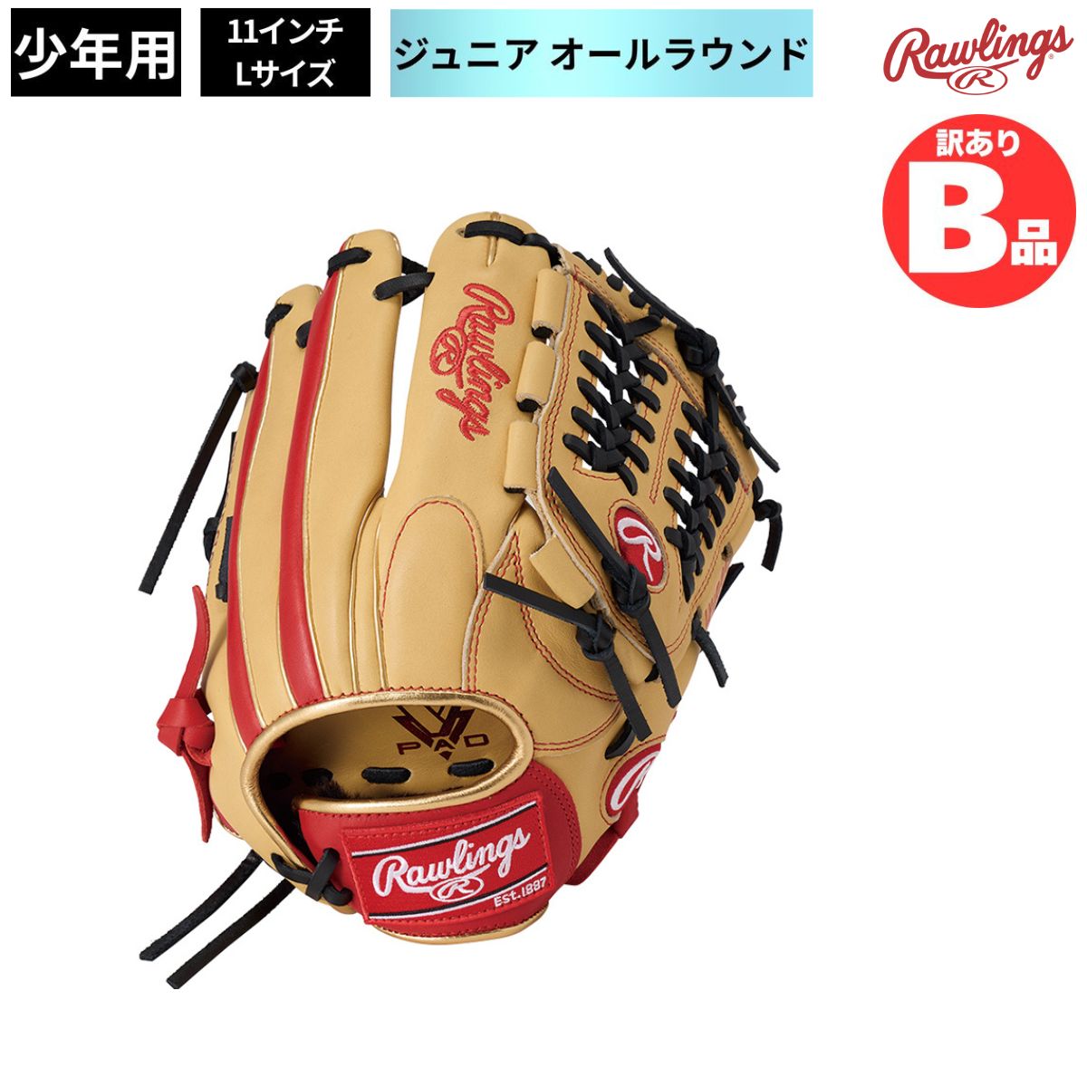 水泳ぎ品目特集