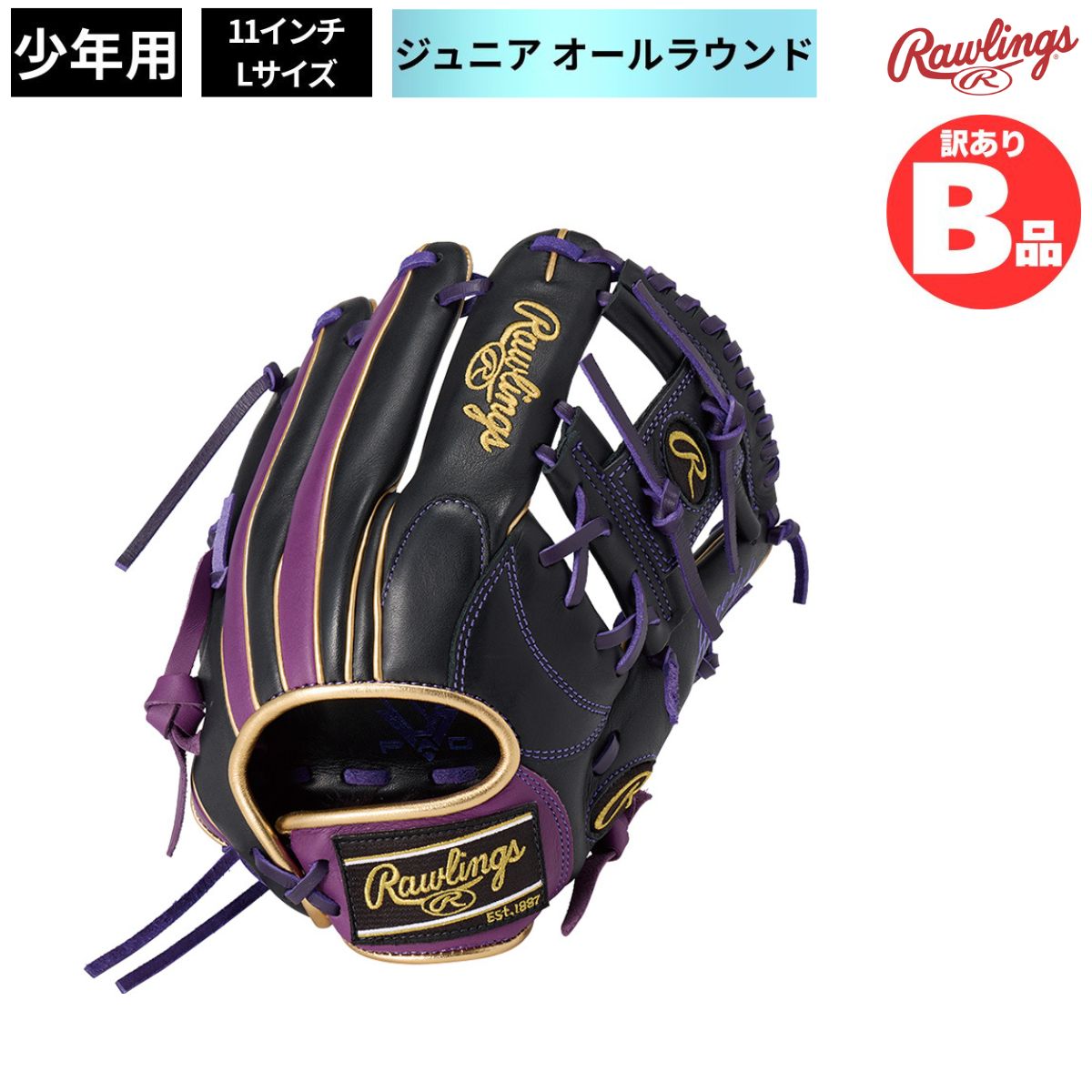 水泳ぎ品目特集