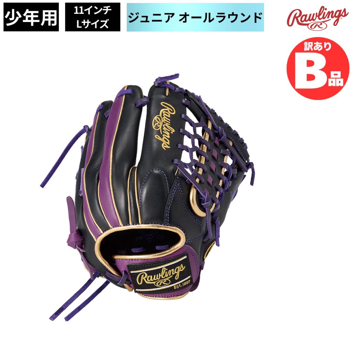 水泳ぎ品目特集