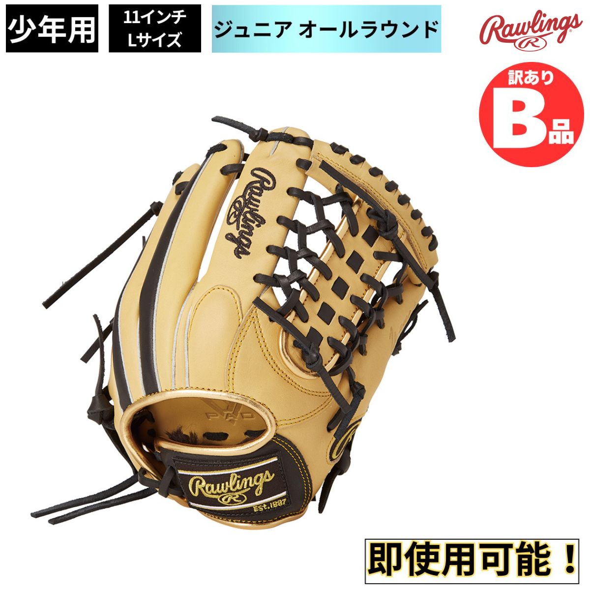 水泳ぎ品目特集