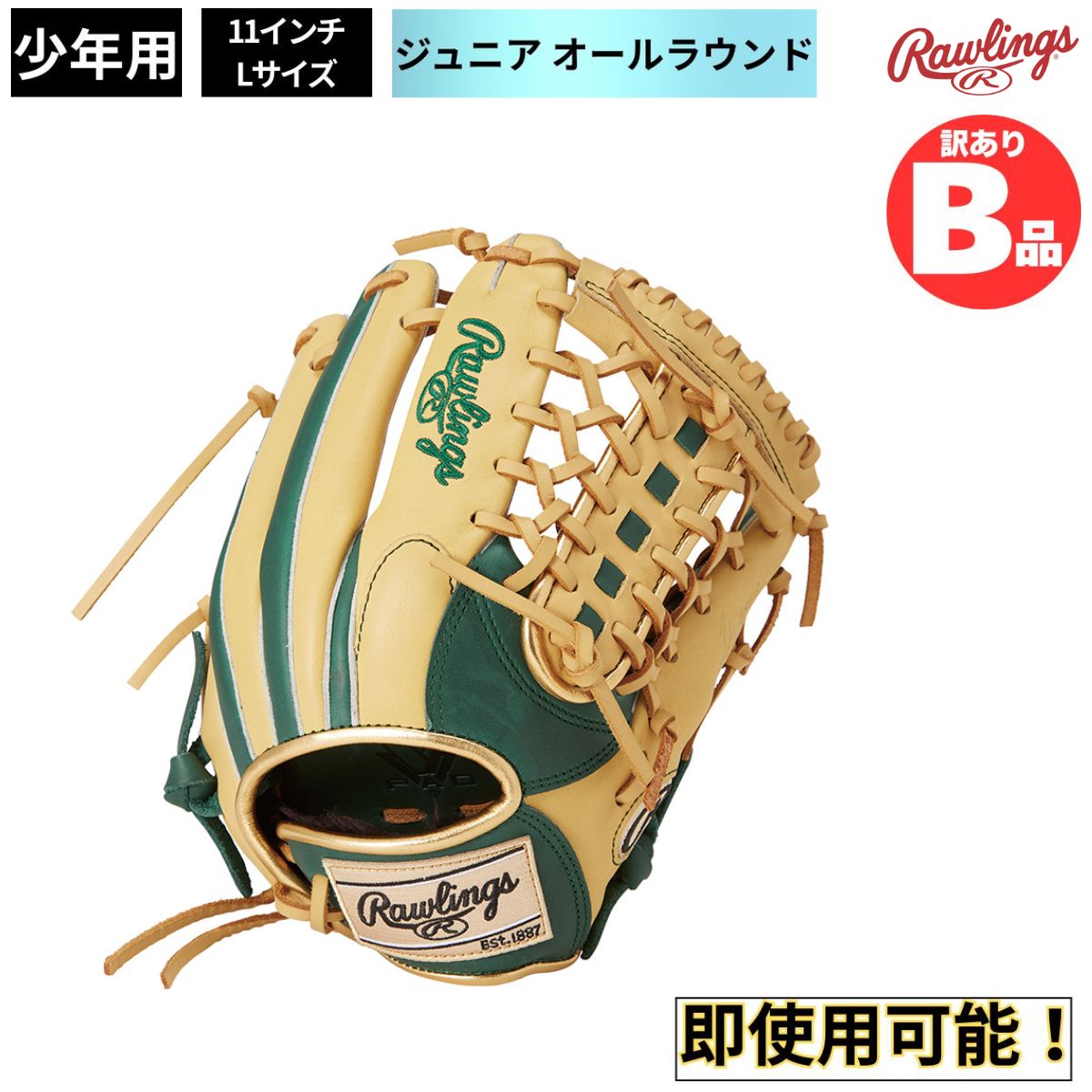 水泳ぎ品目特集
