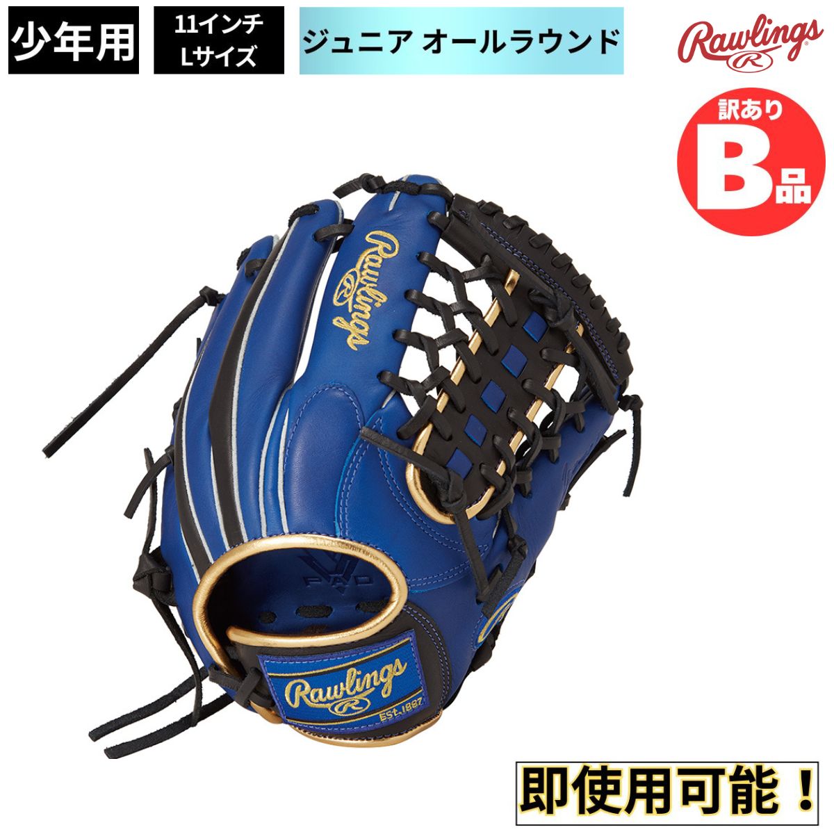 水泳ぎ品目特集
