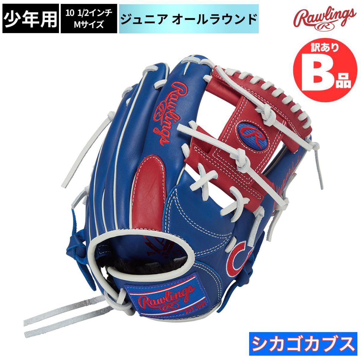 水泳ぎ品目特集
