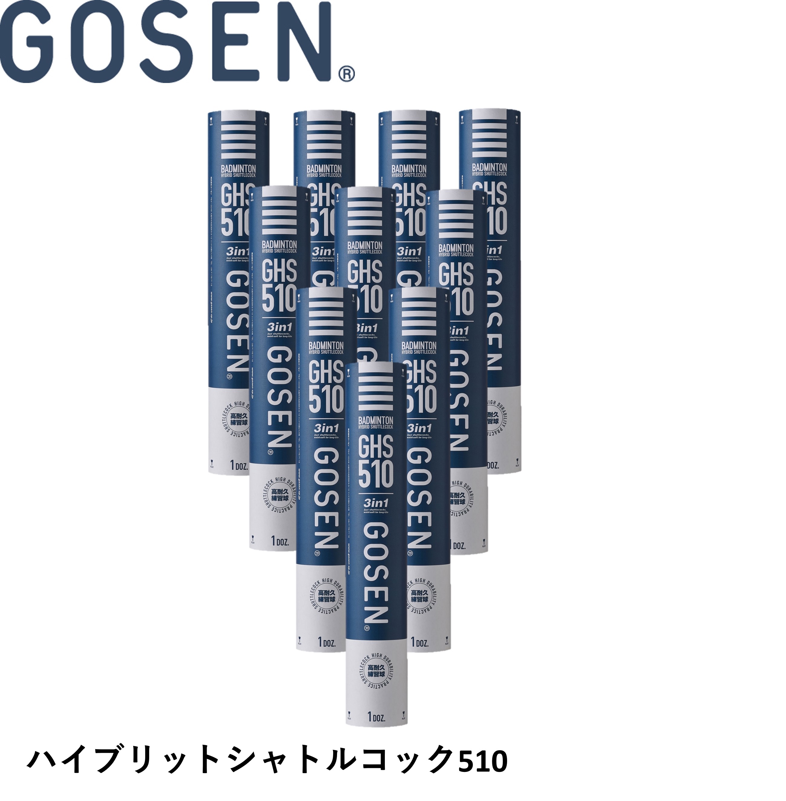 楽天市場】【LINE追加で5%OFFクーポン配布中】【10ダース