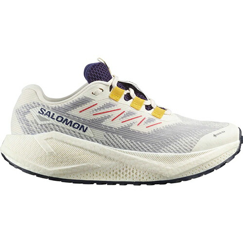 サロモン SALOMON AERO BLAZE 3 GRVL GORE-TEX グラベル ランニングシューズ ウィメンズ L47974100