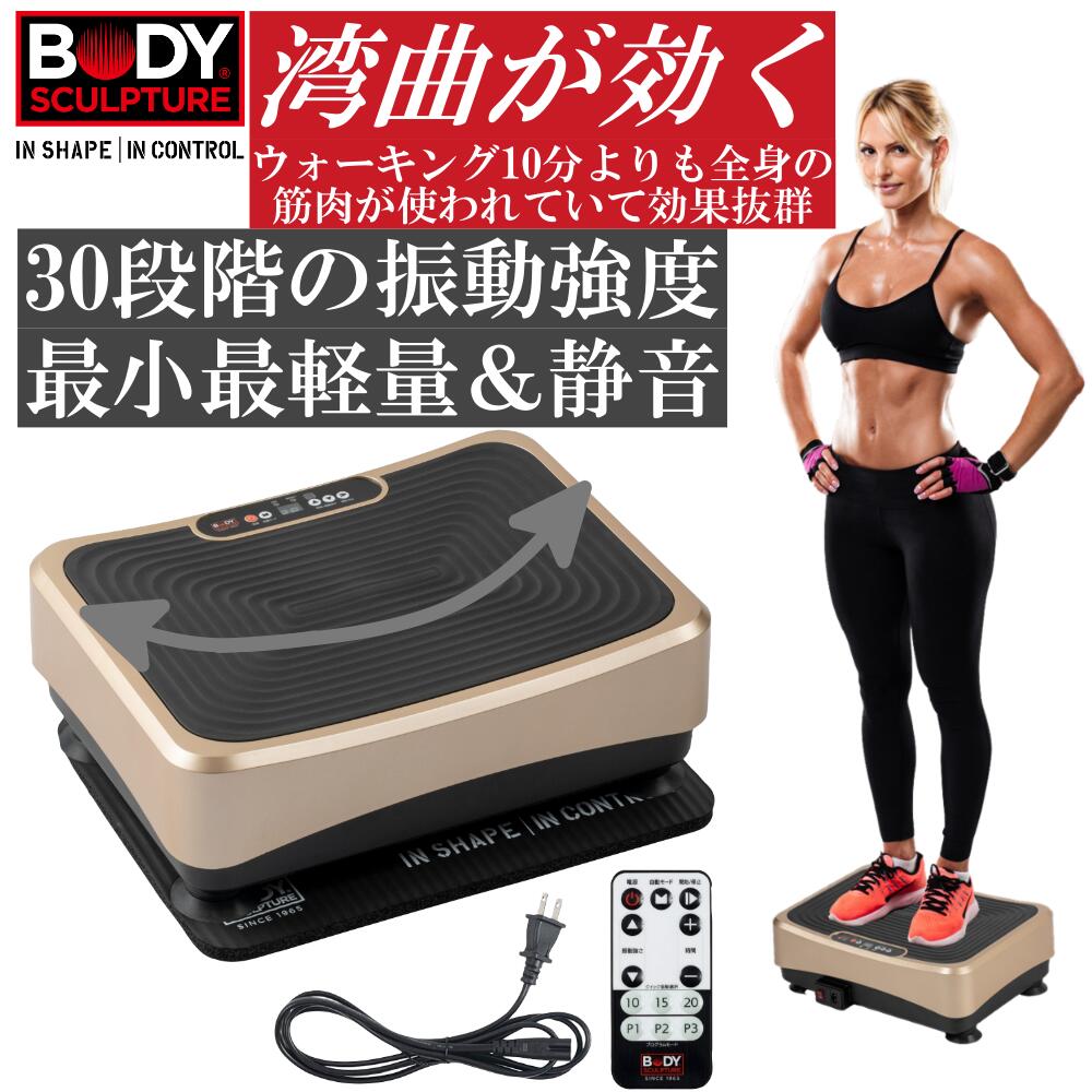 送料無料 【未使用品】BODY SCULPTURE パワーウェーブミニ - 通販