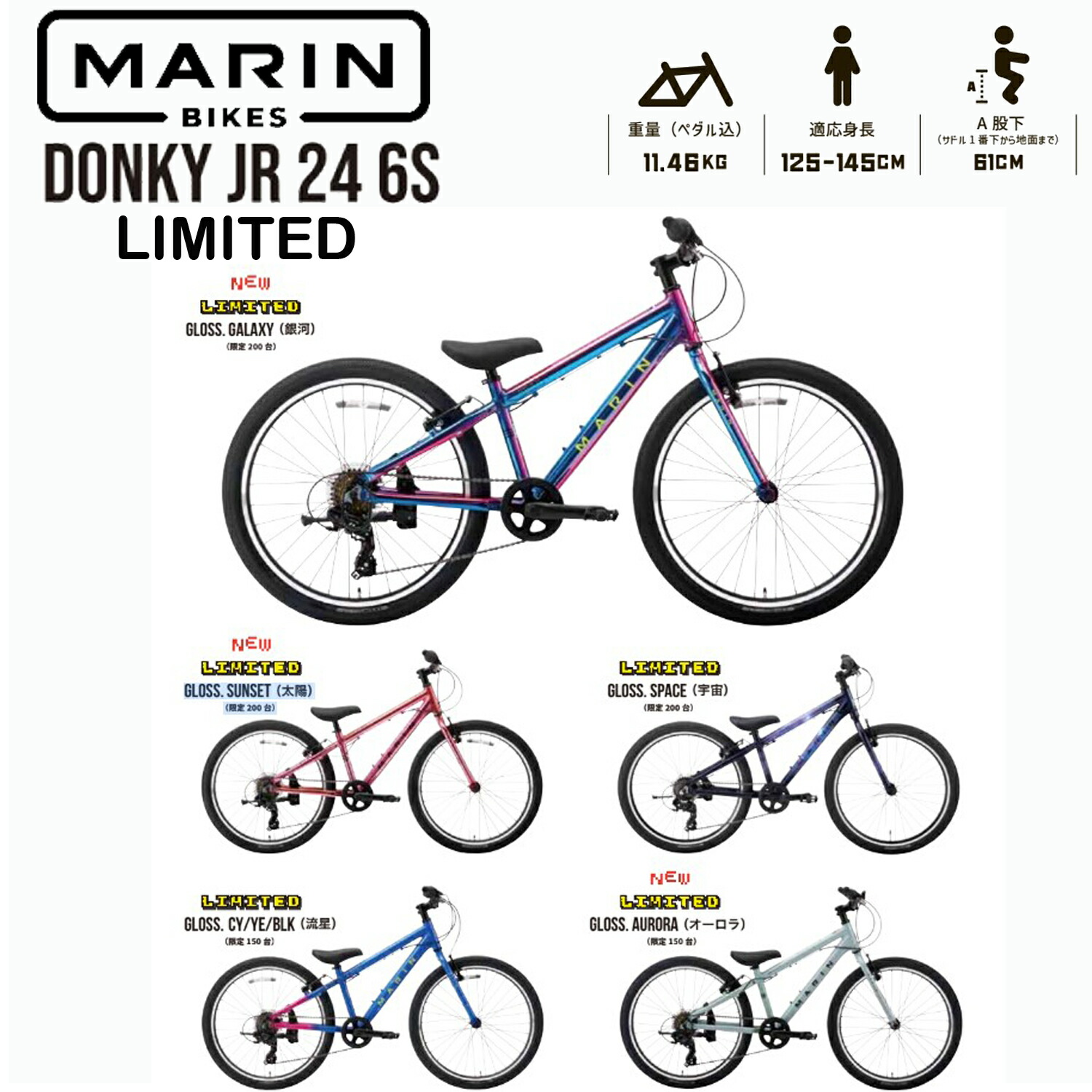 【ポイント5倍 西濃支店止め送料無料一部割引】 マリンバイク ドンキージュニア24 リミテッド 2025 MARINBIKE DONKY Jr24 LIMITED 24インチ キッズバイク 完成車｜スポークオンライン店