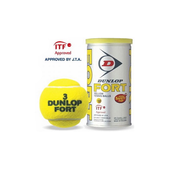 楽天市場】送料無料◇DUNLOP◇フォート2球入り（30缶/60球） DFDYL2DOZ