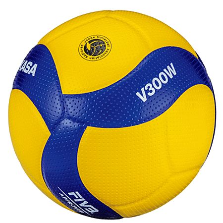 楽天市場】モルテン(molten) フリスタテック バレーボール 検定