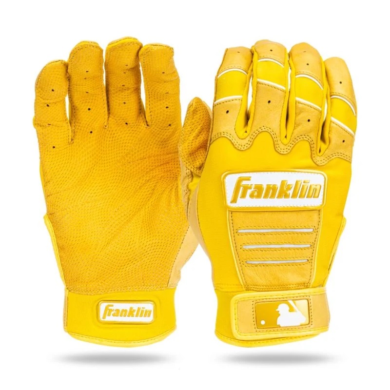 ◆200円OFFクーポン券\u0026断わり書き遣り遂げるでpt5倍◆ フランクリン(Franklin) 打撃地球儀 グローブ 両手用 CFX PRO HI-LITE 20895