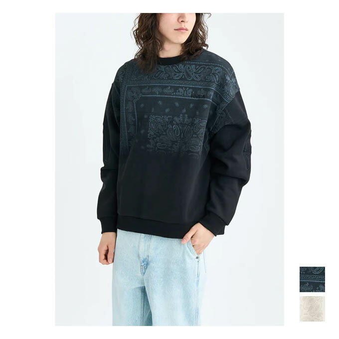 【クーポン発行中！】 RVCA ルーカ メンズ スポーツ カジュアル ウェア トップス トレーナー FADE BACK SIDE ARCH BF042001 【2025FW】