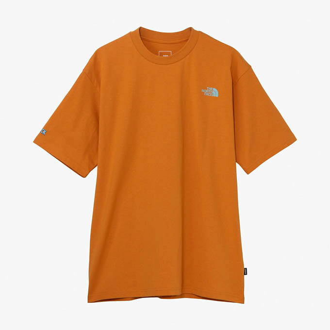【クーポン発行中！】 ザ・ノース・フェイス THE NORTH FACE メンズ レディース トレッキング アウトドア Tシャツ 半袖 S/S LAYBACK TRIBAL TEE NT12610 DO 【2026SS】