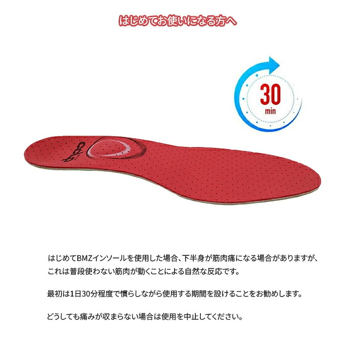 【ネコポス発送】 BMZ CCLP カルパワースキー インソール 中敷