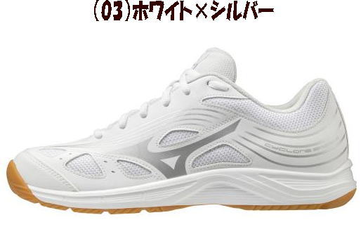 楽天市場】【送料無料※沖縄・離島を除く】【実店舗共通在庫】MIZUNO