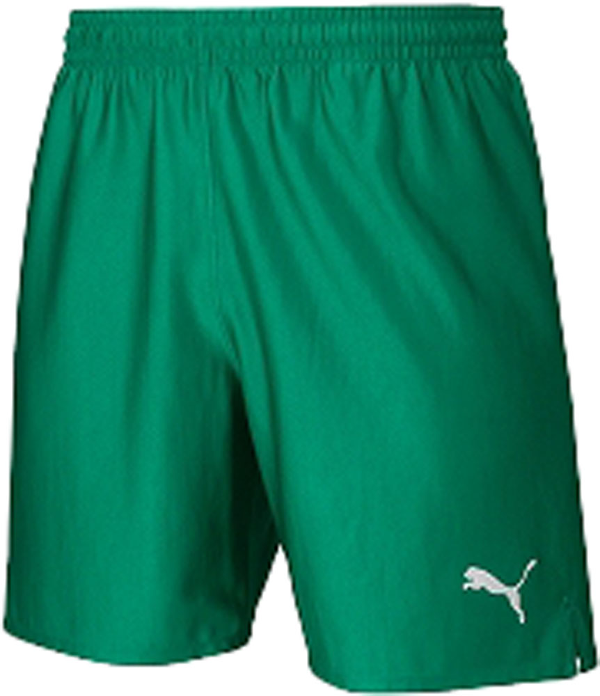 PUMA プーマサッカーLIGA ゲームパンツ コア ジュニア72997005