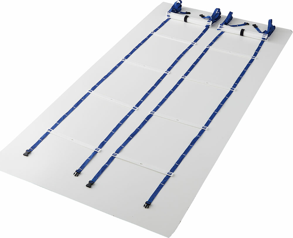 楽天市場】ダンノ ラダーL550 2本1組 DANNO D5307 : しげこ堂